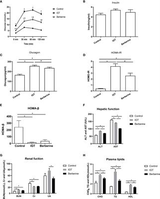 Berberine Slows the Progression of Prediabetes to Diabetes in Zucker Diabetic Fatty Rats by Enhancing Intestinal Secretion of Glucagon-Like Peptide-2 and Improving the Gut Microbiota